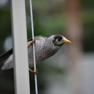 unnamed 2