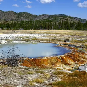 microbt whatsminer m20s sha256 asic miner 62ths 65ths 68ths