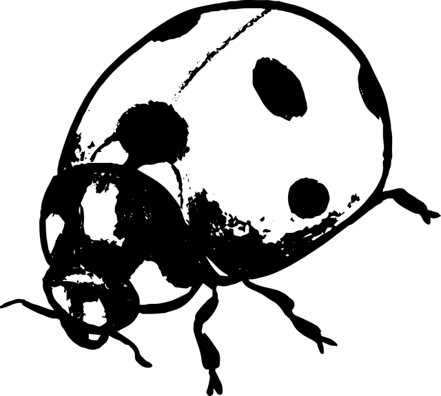 polkadot