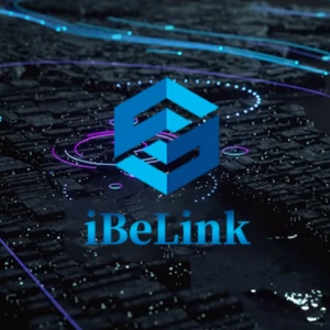 IBELINK